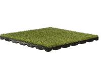 Gelsport grass